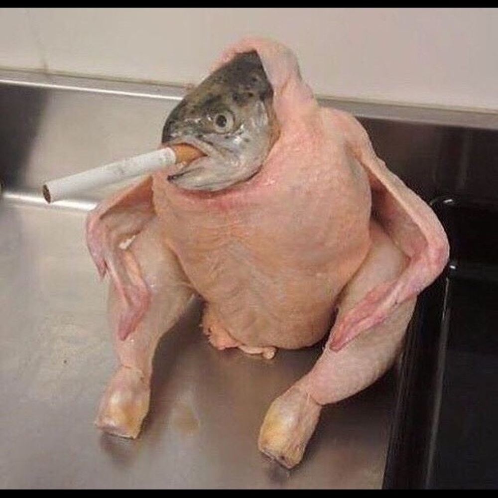 Meet your Posher, Rae